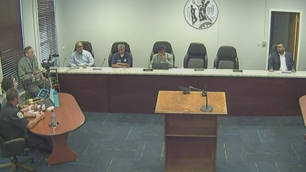 Hamtramck city councilmember under scrutiny named new mayor pro tem