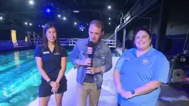 VIP backstage shark encounter tours at SeaWorld