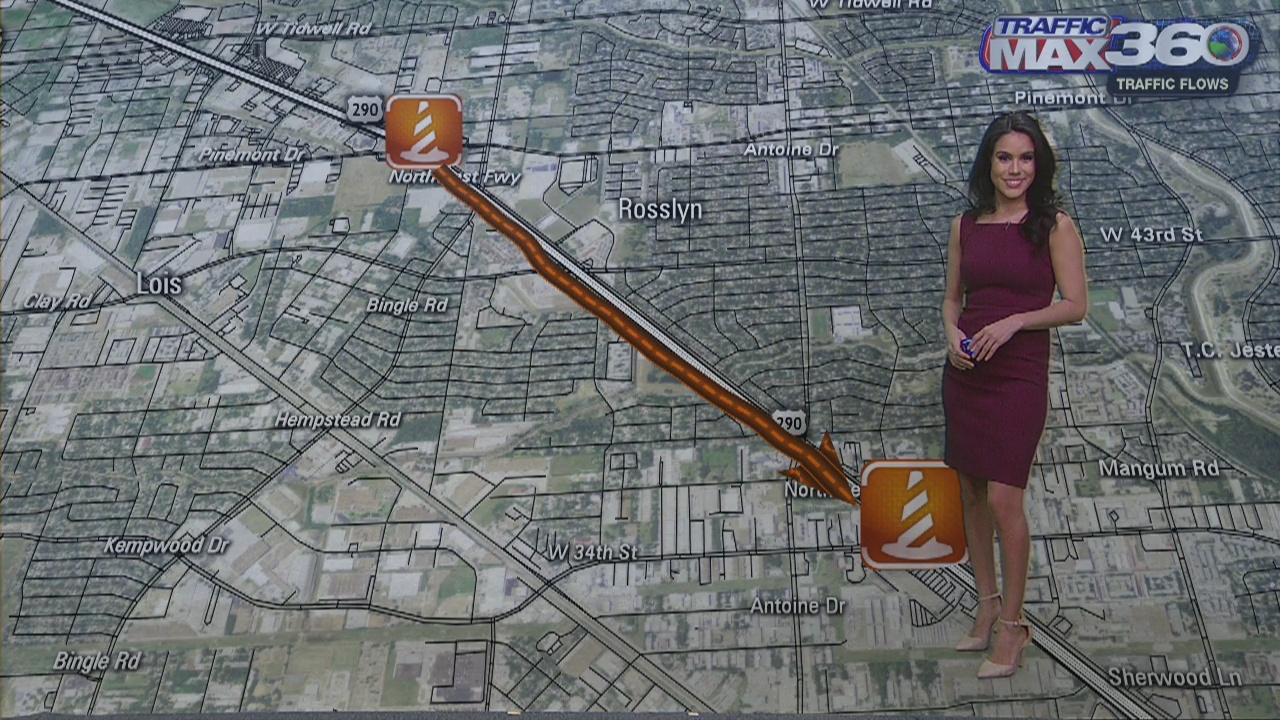 The Cone Zone for Feb. 18, 2019