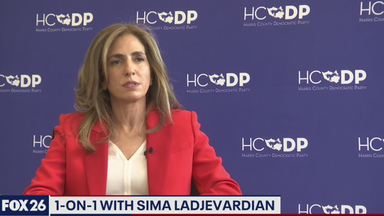 Sima Ladjevardian Democratic candidate for Congressional District 2