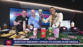 BabyCat Brewery opens doors in Bethesda