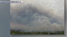 Freeman Fire grows to 1,000 acres in Pinal County