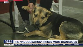 Delaware Humane Association holds "Indoguration"