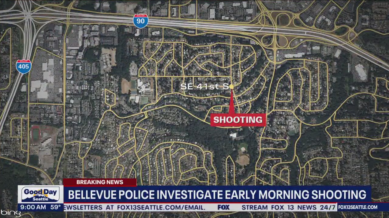 Bellevue Police investigate early morning shooting