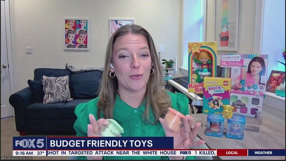 Budget Friendly Toys