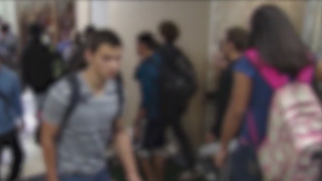 CPS exams postponed after platform crashes