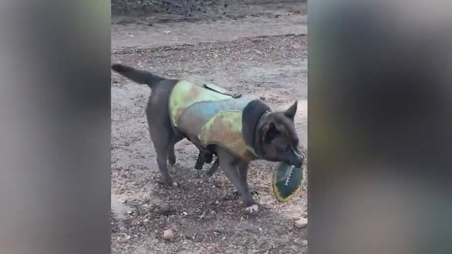 PET OF THE DAY: Aretha Franklin