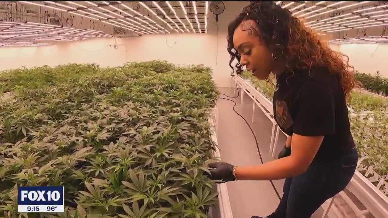 AZ woman set to open marijuana dispensary with social equity license