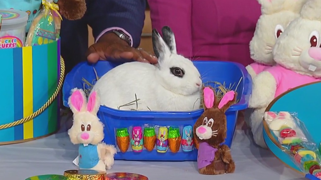 Easter candy trends with Dylan's Candy Bar