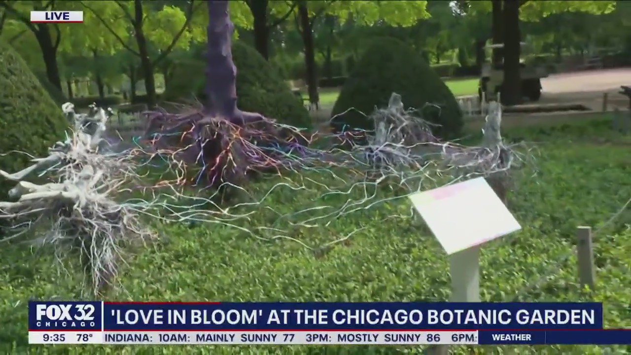 It's the flirty side of summer at the Chicago Botanic Garden