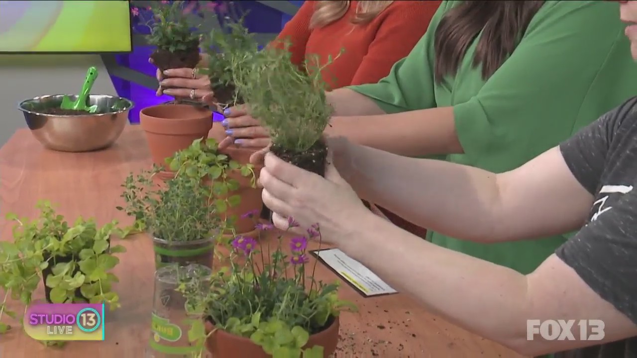 Learning how to garden on your patio with The Works Seattle