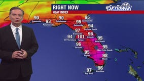 Tampa Weather | Daily storms, mainly inland