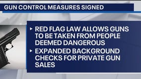 Gun measures become law