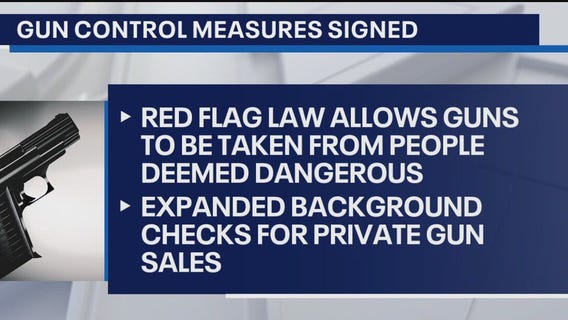 Gun measures become law