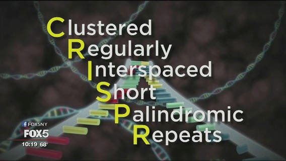 Modifying cancer cell genomes [The Big Idea]