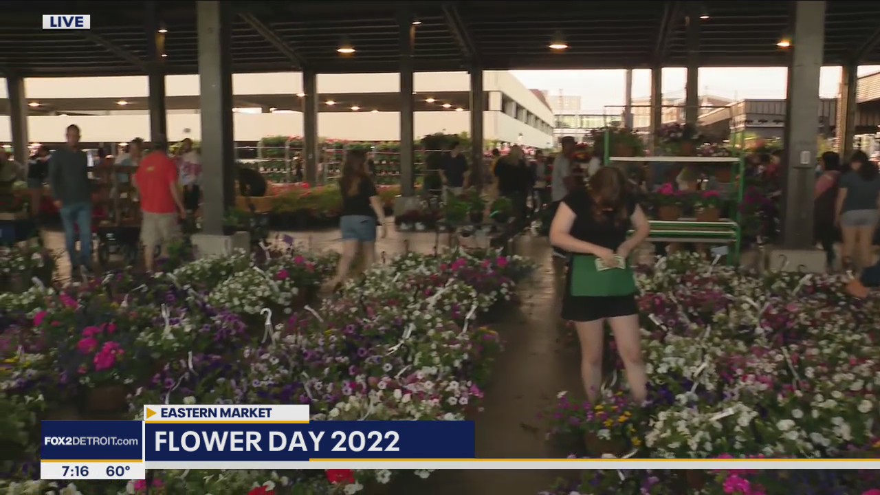 Flower Day Live Fox2 News Weekend
