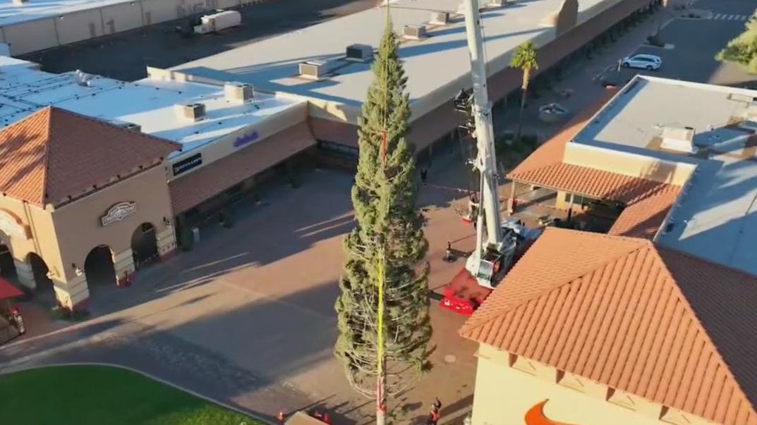 AZ's tallest Christmas tree arrives in Anthem