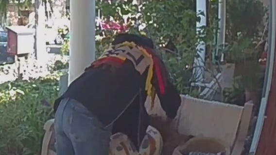 Senior cat stolen from porch in West Hollywood