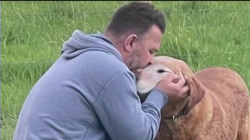 Owner says shelter euthanized dog in less than 24 hours