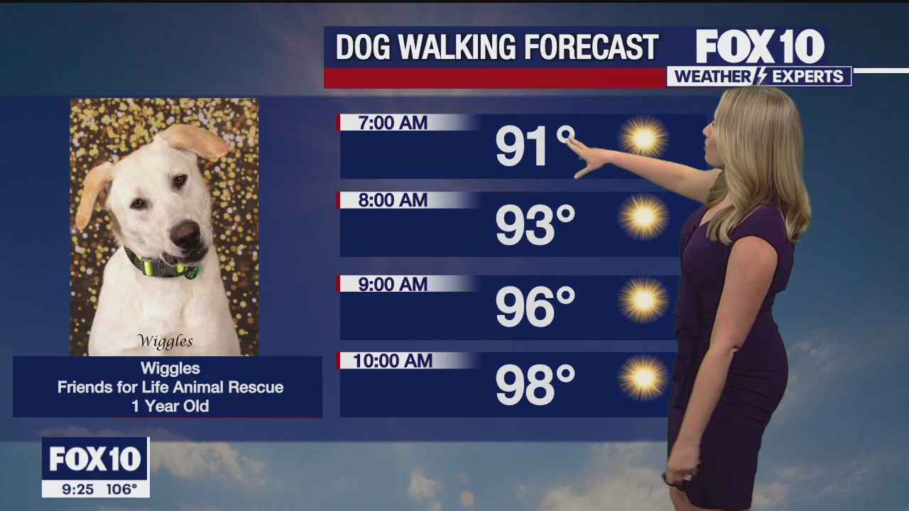 Evening Weather Forecast - 7/9/23