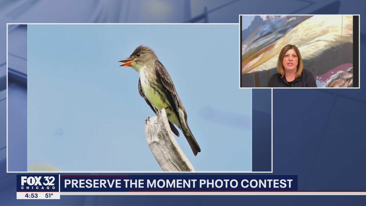 Will County asks residents to submit photos for 'Preserve the Moment' contest
