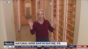 New Natural Wine Bar: Nature's Vin