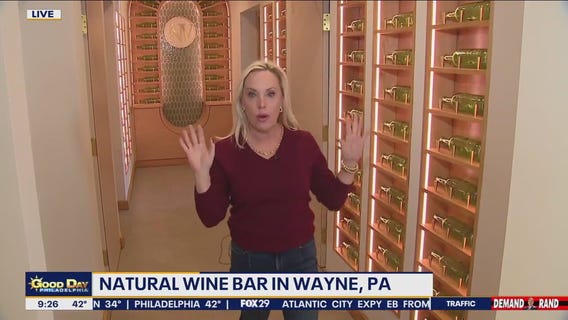 New Natural Wine Bar: Nature's Vin