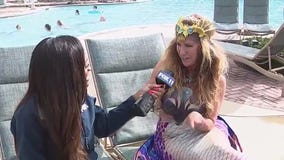 Celebrating National Mermaid Day