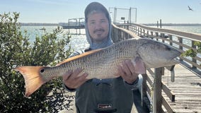 Look for wind-protected areas where inshore fish keep warm