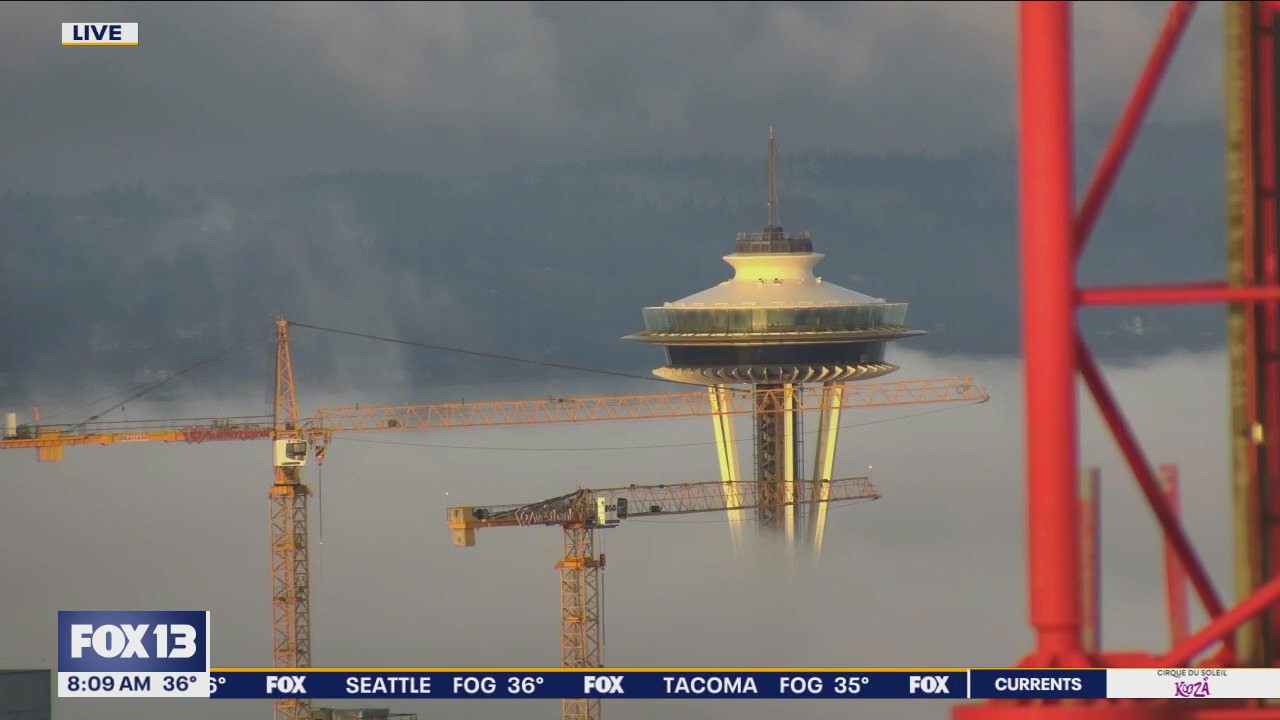 Seattle weather: Dense fog Thanksgiving morning