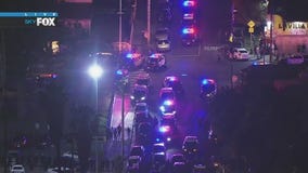 Large fight breaks out in South LA