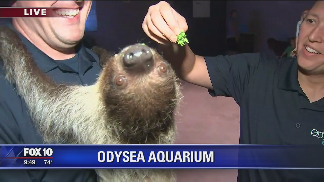 Kids learn water conservation at OdySea Aquarium
