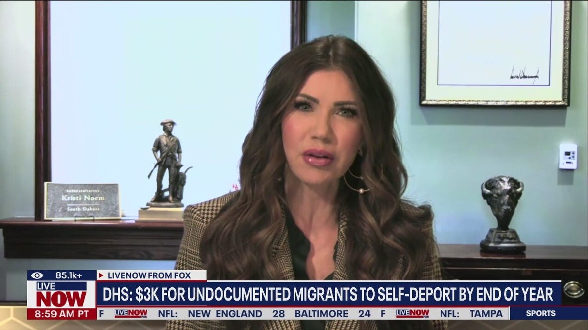 DHS offers $3000 'holiday stipend' to migrants who self-deport by end of year