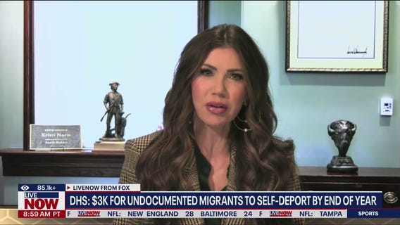 DHS offers $3000 'holiday stipend' to migrants who self-deport by end of year