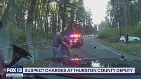 Deputy attacked after crash in Thurston County, WA