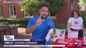 Zip Trip to Frederick: Frederick Nonprofits