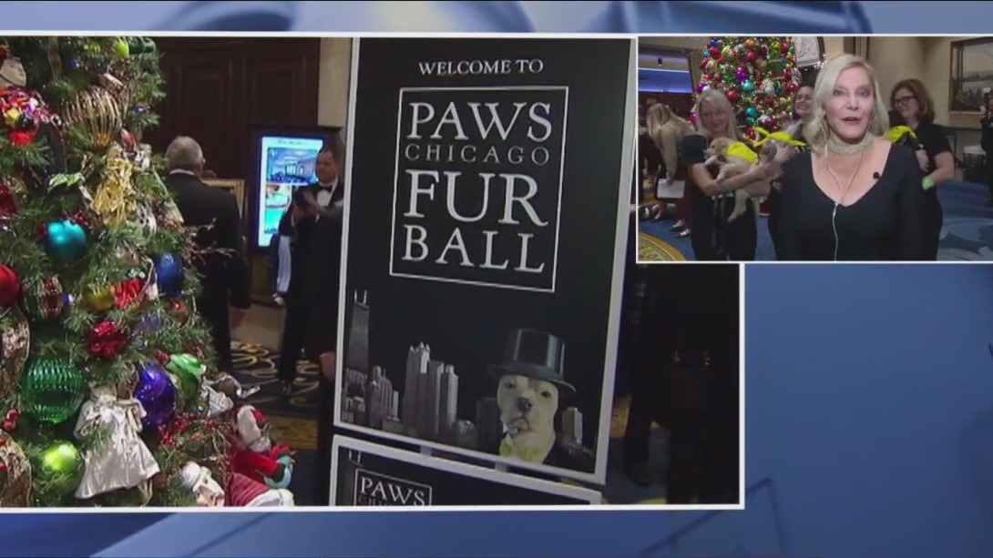 PAWS Chicago Fur Ball tonight