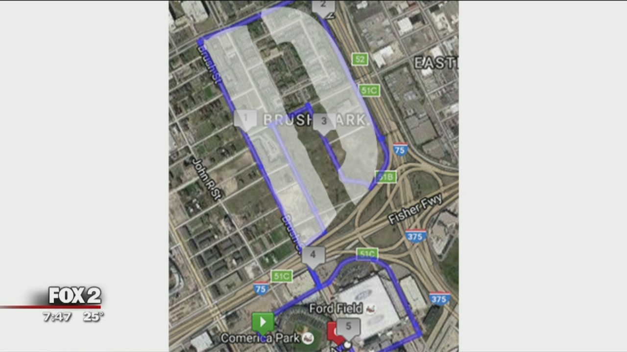 I Ran The D 5k at Comerica Park April 23