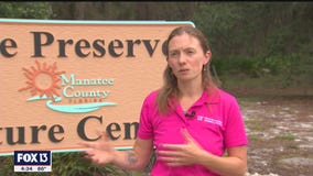 Why preserves are so important