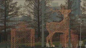 Navy Pier's Light Up the Lake has holiday activities for families