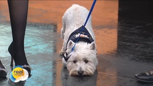 Real Milwaukee | November 3, 2025