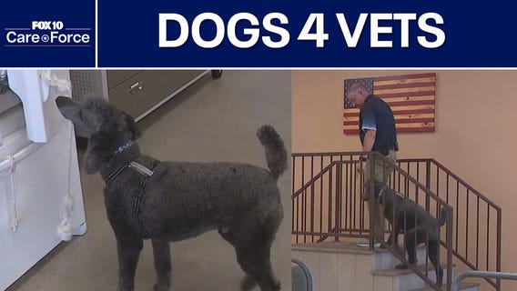 Dogs 4 Vets | Care Force