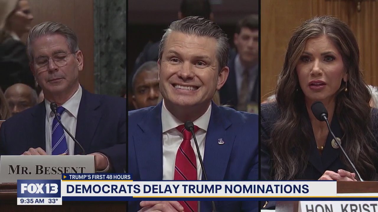 US Democrats delay Trump's cabinet nominations