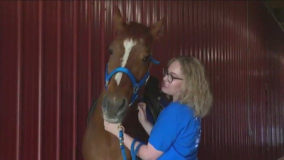 Legacy Ranch in Lockport provides equine therapy for all
