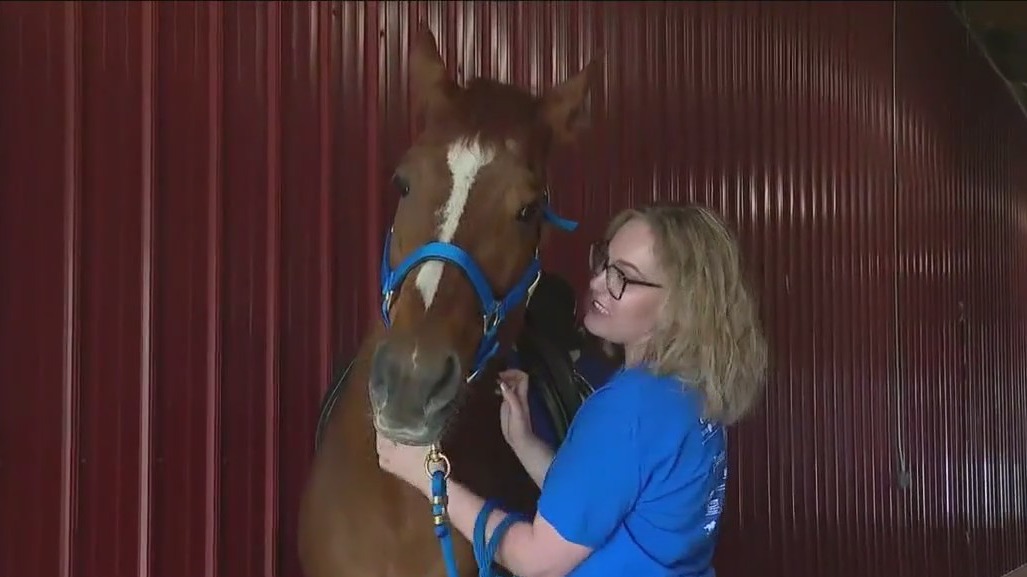Legacy Ranch in Lockport provides equine therapy for all