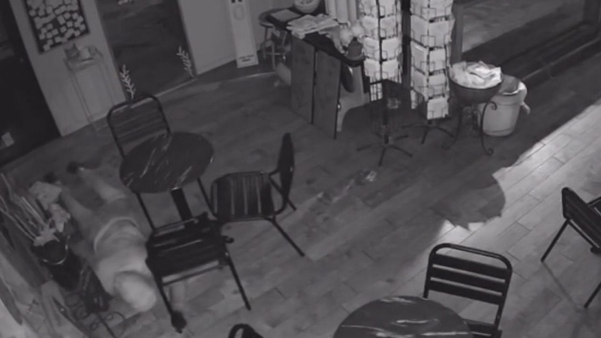 Jewelry store thief cuts through side of safe