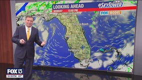 Tampa Weather | Warmer weather arrives