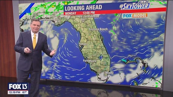 Tampa Weather | Warmer weather arrives