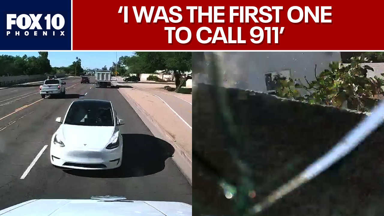 WATCH: Tesla veers into opposing traffic, triggers dump truck crash