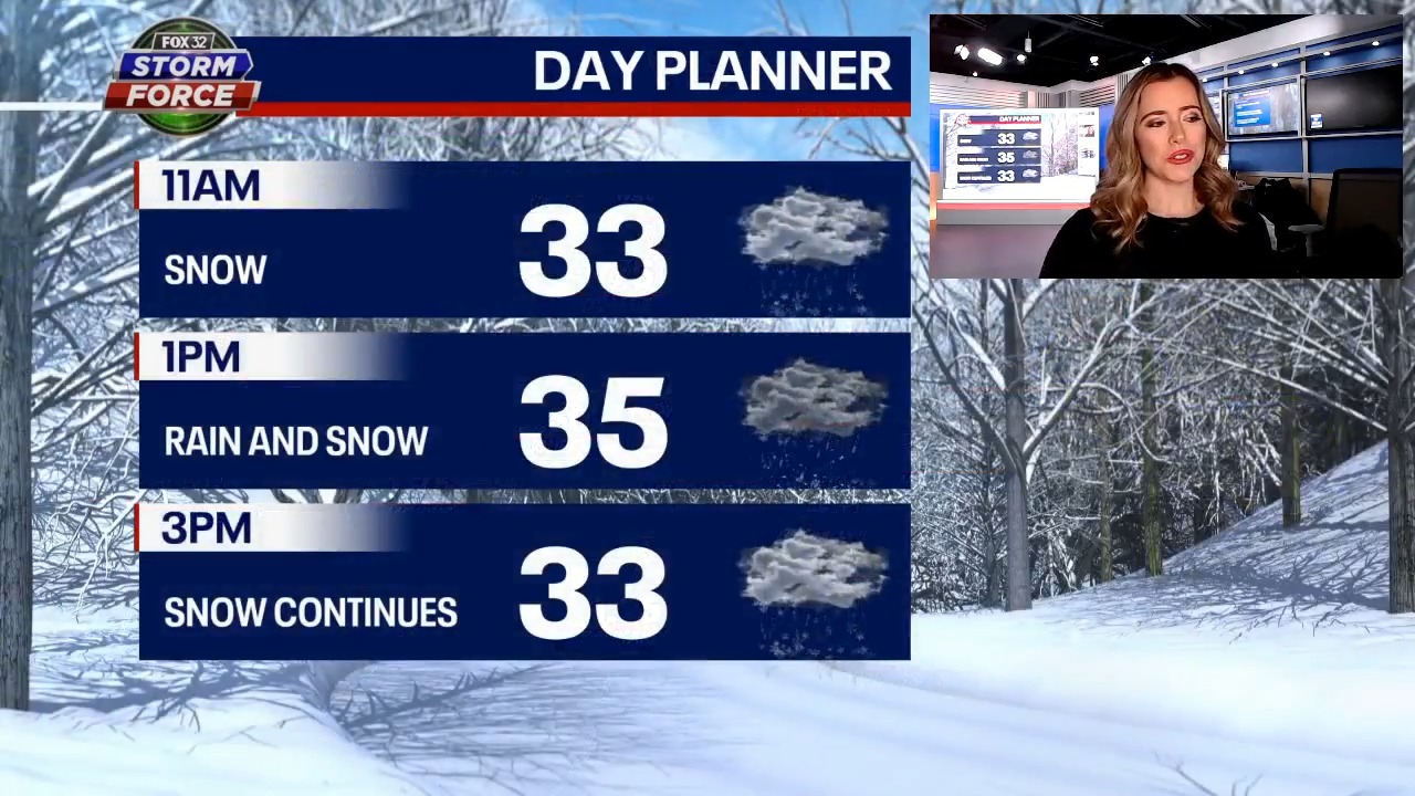 Winter storm hits Chicago area with heavy snow, strong winds